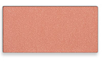 Get your Shy Blush mineral cheek color from Mary Kay here.