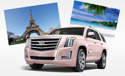 Earn Money and Rewards